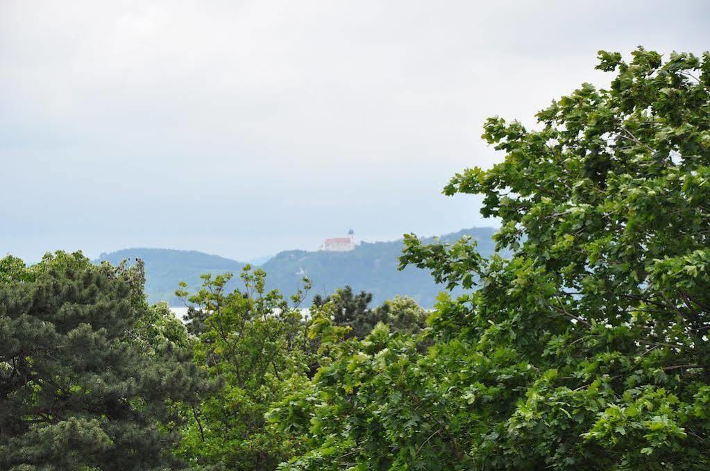 Villa Muzsa Deluxe Balatonfüred Екстериор снимка